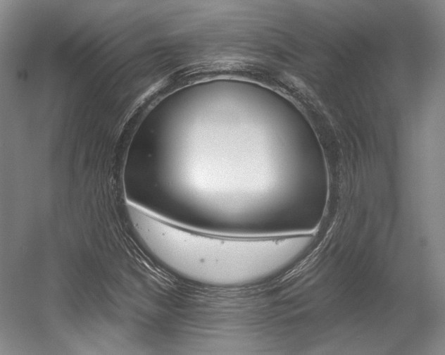 X0000056021210200508190911
