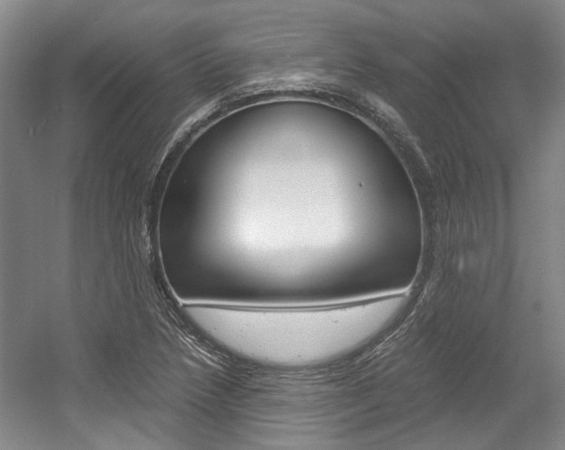 X0000056021218200508190911