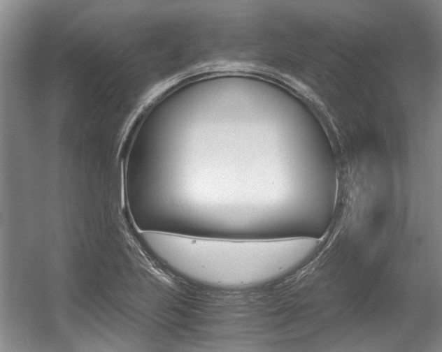 X0000056021223200508190911