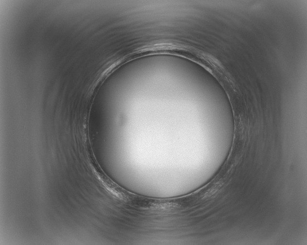 X0000056021225200508190911
