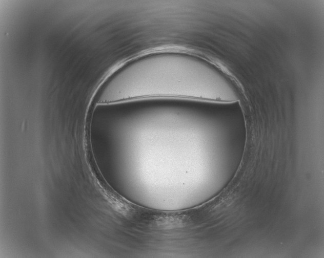 X0000056021229200508190911