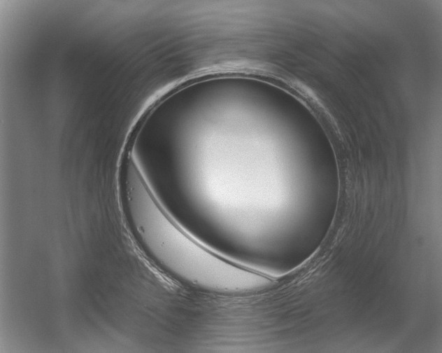 X0000056021230200508190912