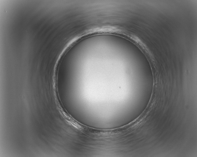 X0000056021232200508190912