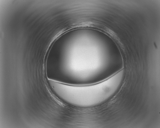 X0000056021234200508190912