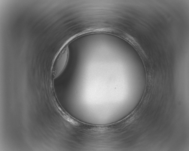 X0000056021236200508190912