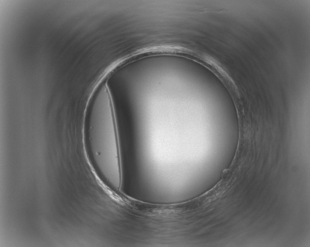 X0000056021237200508190912