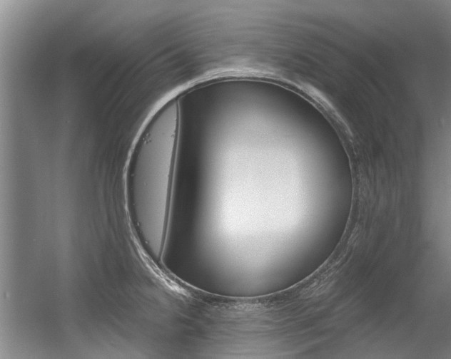 X0000056021238200508190912