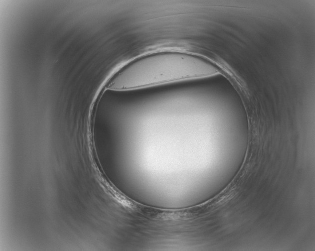 X0000056021240200508190912