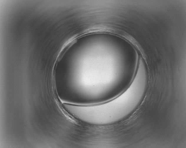 X0000056021242200508190912
