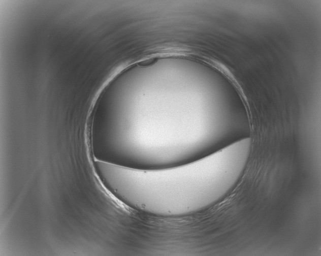 X0000056021243200508190912