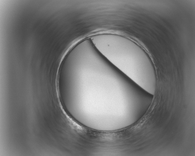 X0000056021247200508190912