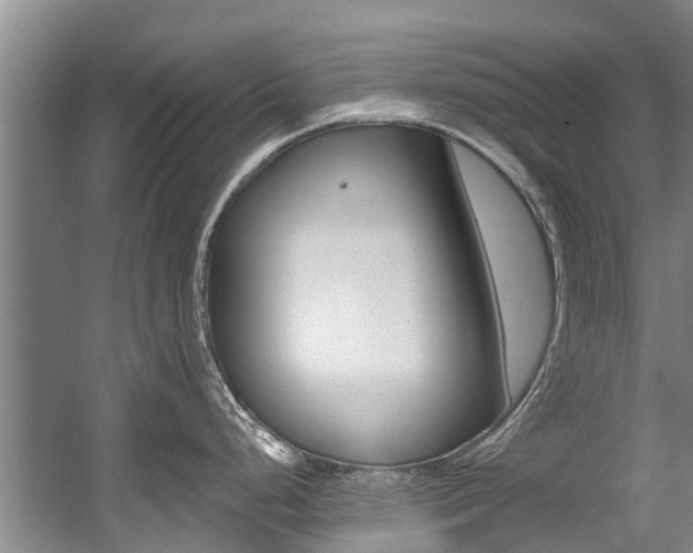 X0000056021248200508190912