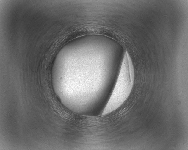X0000056021249200508190911