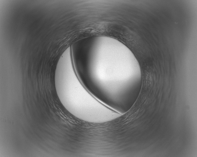 X0000056021250200508190911