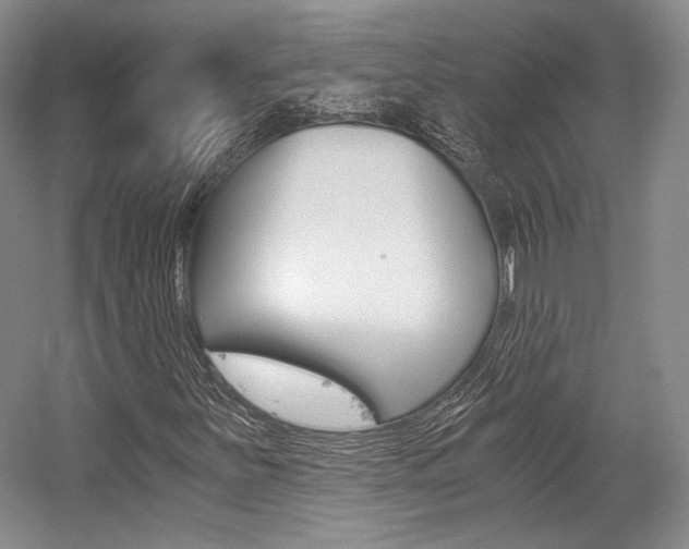 X0000056021251200508190911