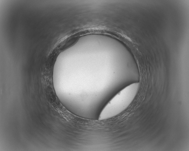 X0000056021255200508190911
