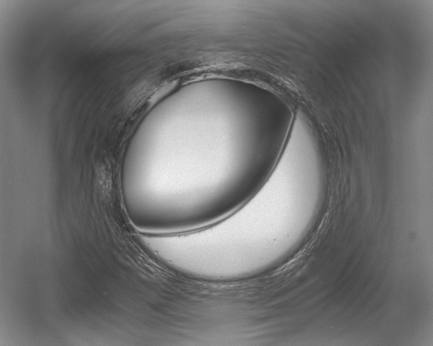 X0000056021257200508190911