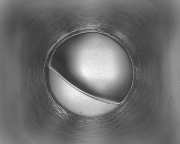 X0000056021260200508190911