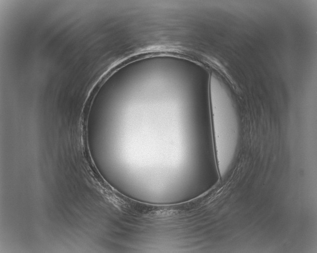 X0000056021268200508190911