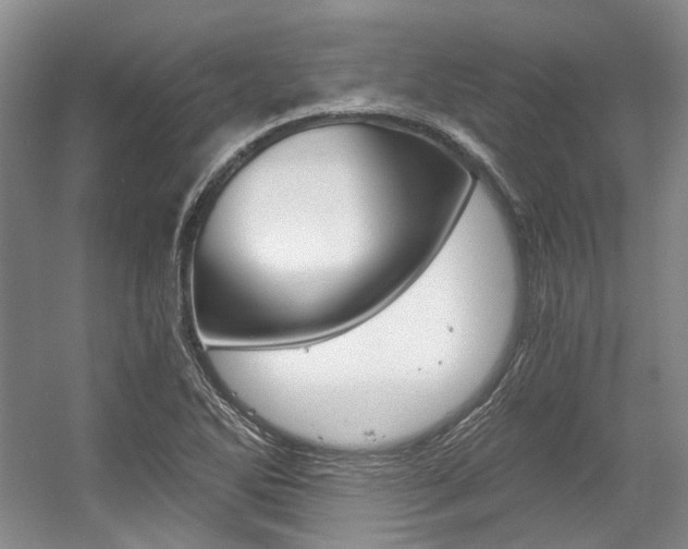 X0000056021270200508190911
