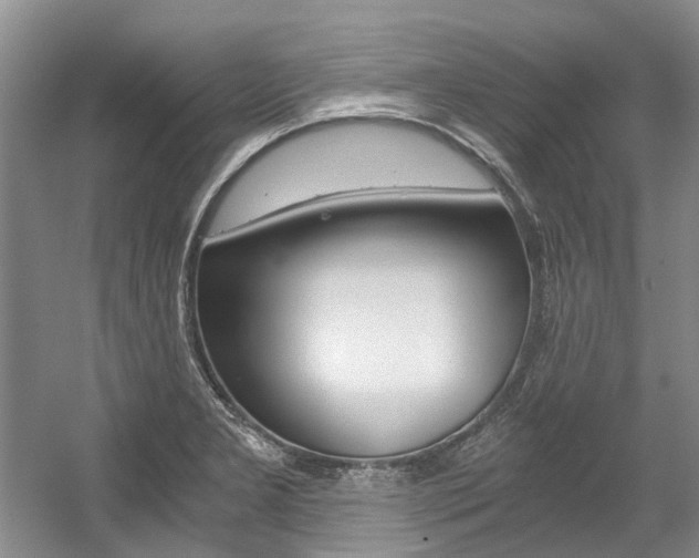 X0000056021277200508190911