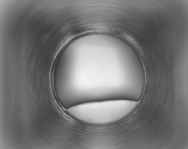 X0000056021283200508190910