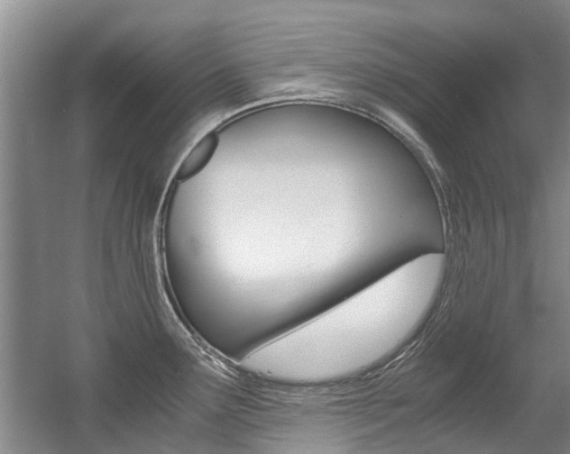 X0000056021291200508190910