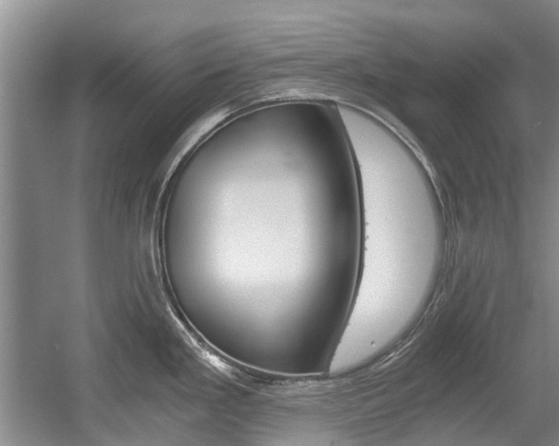 X0000056021293200508190910