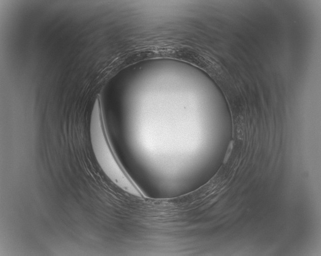 X0000056021298200508190909