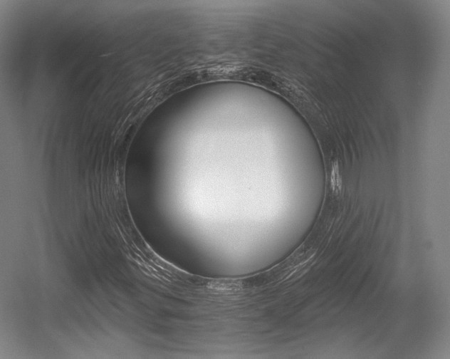 X0000056021299200508190909