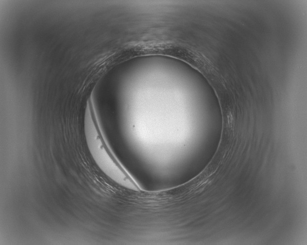 X0000056021300200508190909