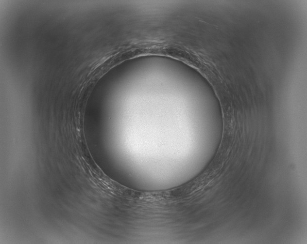 X0000056021301200508190909