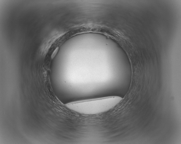 X0000056021302200508190909