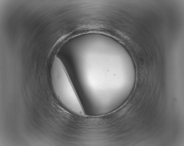 X0000056021306200508190910