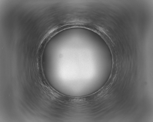 X0000056021307200508190910