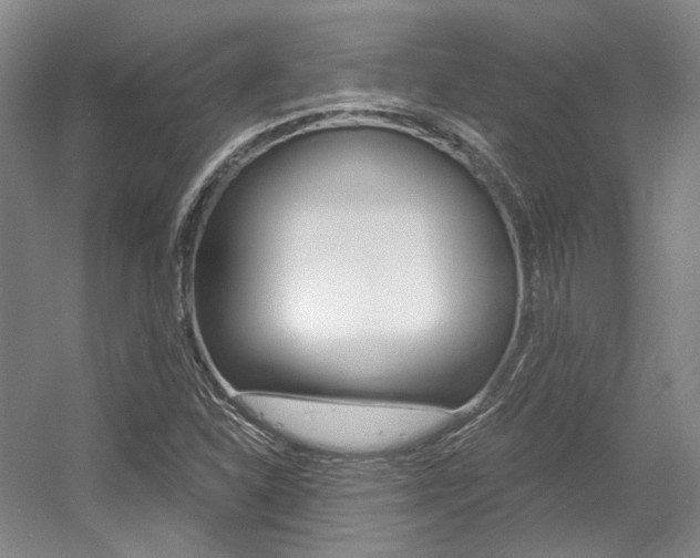 X0000056021310200508190910