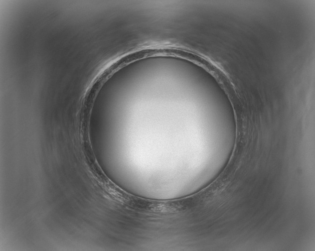 X0000056021311200508190910