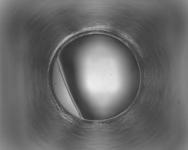 X0000056021316200508190910