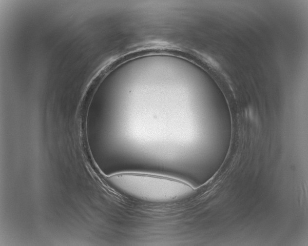 X0000056021318200508190910