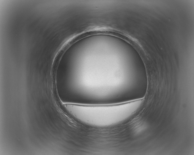 X0000056021319200508190910