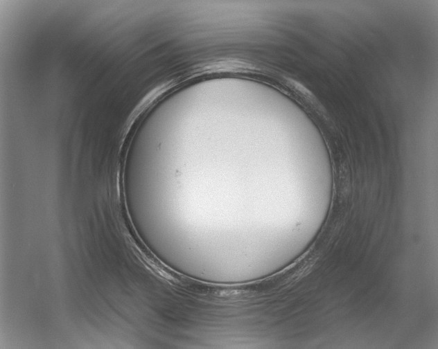 X0000056021322200508190910