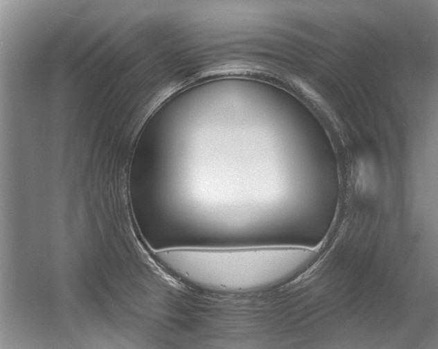 X0000056021329200508190910