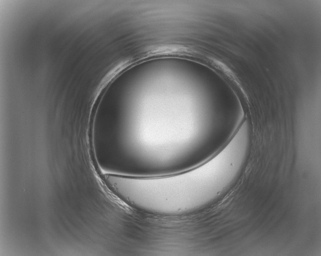 X0000056021330200508190910