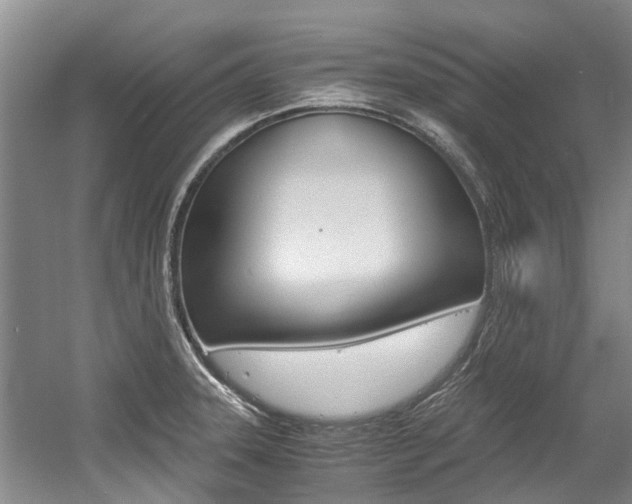 X0000056021331200508190910