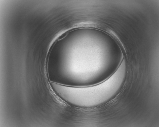 X0000056021336200508190910