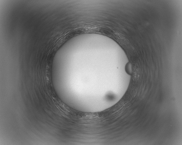 X0000056021346200508190909