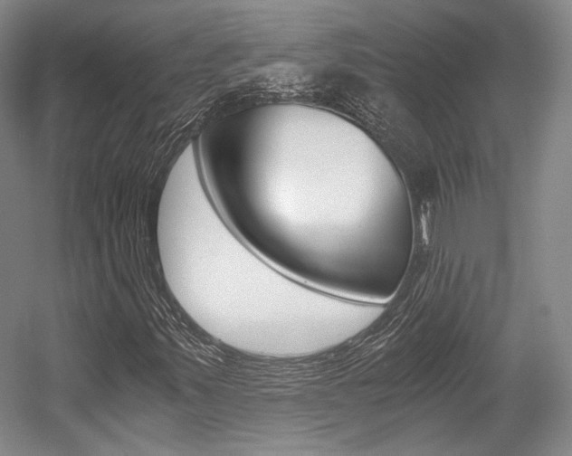 X0000056021347200508190909