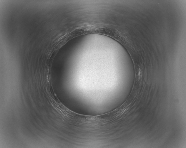 X0000056021348200508190909