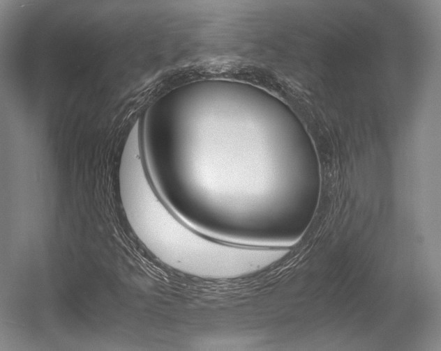 X0000056021349200508190909