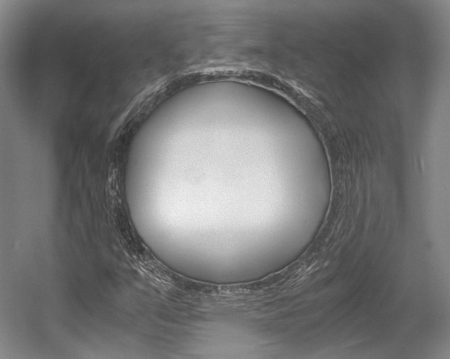 X0000056021351200508190909